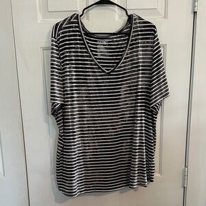Terra & Sky grey and white stripes Vneck size 3x women’s